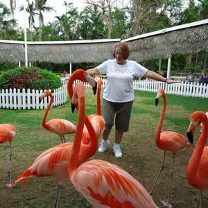 Meet your Posher, Marcia